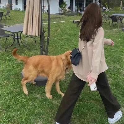 家法